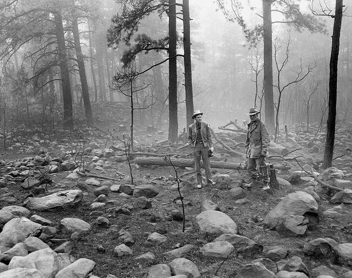 Two individuals stand among rocks and fallen trees in a forested area, with smoke and haze in the background indicating a recent fire