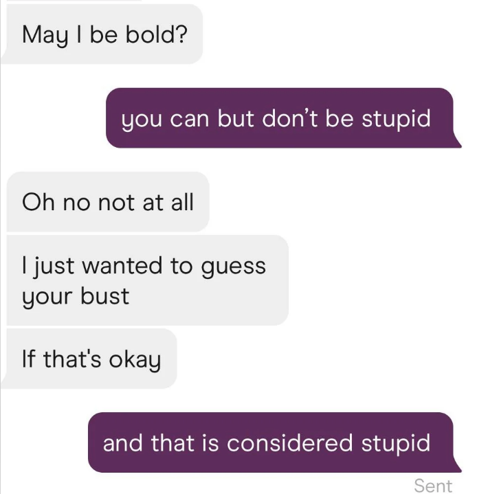 Screenshot of a conversation where one person asks, &quot;May I be bold?&quot; and another responds, &quot;you can but don’t be stupid&quot;. The first person says, &quot;I just wanted to guess your bust&quot; and the other person replies, &quot;and that is considered stupid&quot;