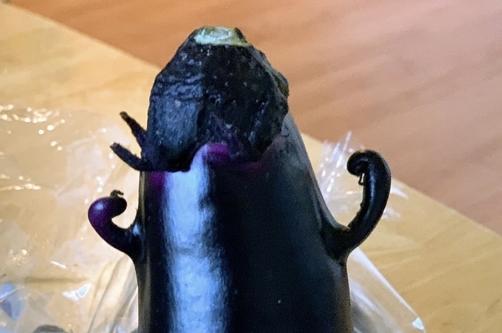 テーブルの上にある奇妙な形のナスが手で持たれています。ナスは小さな腕のような突起がついています。