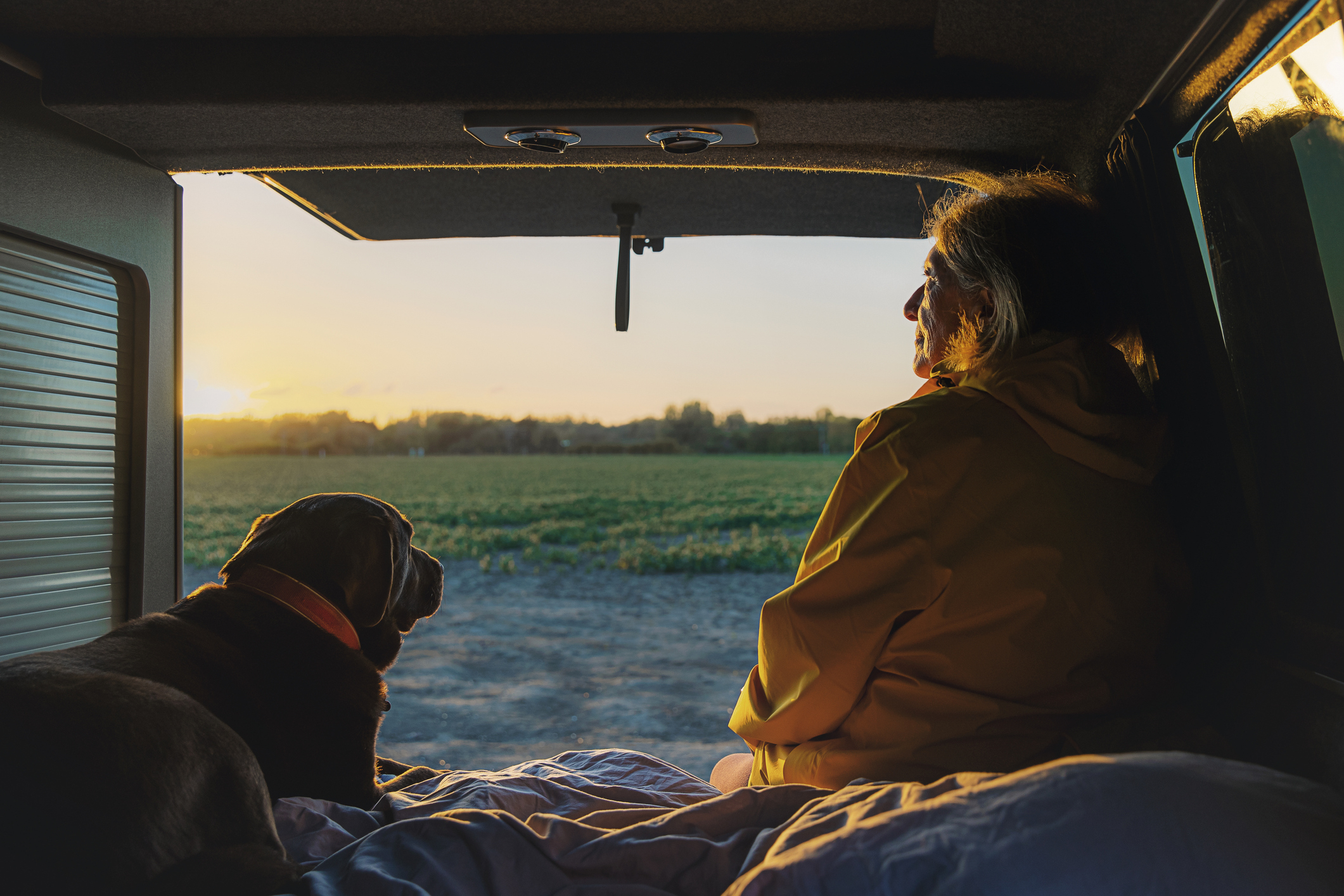 A person and a dog sit in the back of a van, overlooking a field at sunset. The person wears a jacket while the dog looks out beside them