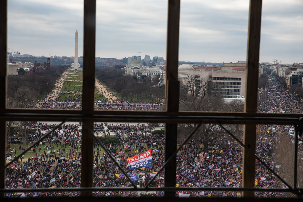 Large crowd gathered near the Washington Monument. Many people hold signs and flags. Picture taken through a wooden frame