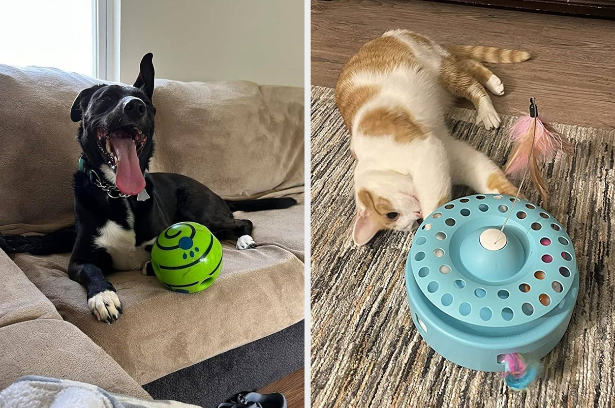 Your Pet Might Just Find Their New Favorite Toy On This List