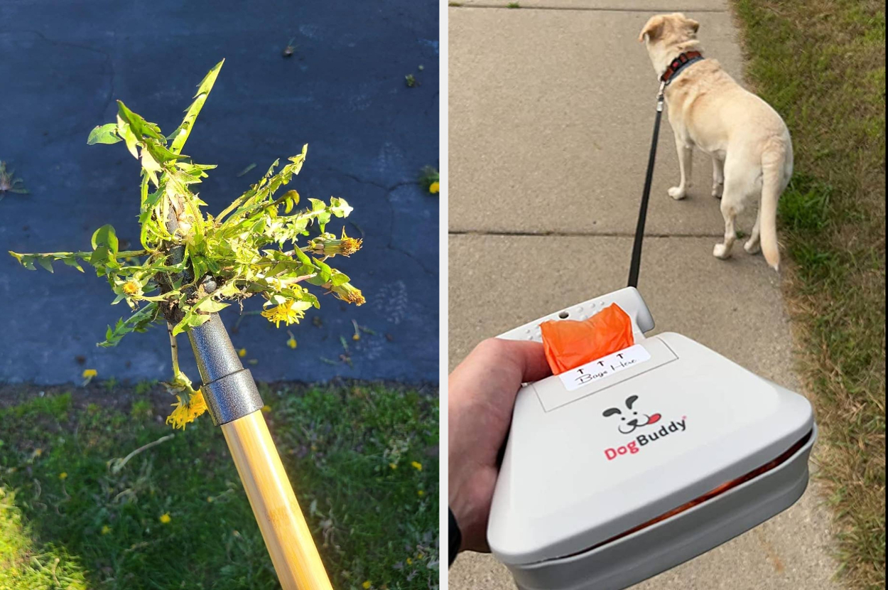A weeding tool holds weeds (left). A person walks a dog on a sidewalk while holding a DogBuddy dog waste bag dispenser (right)