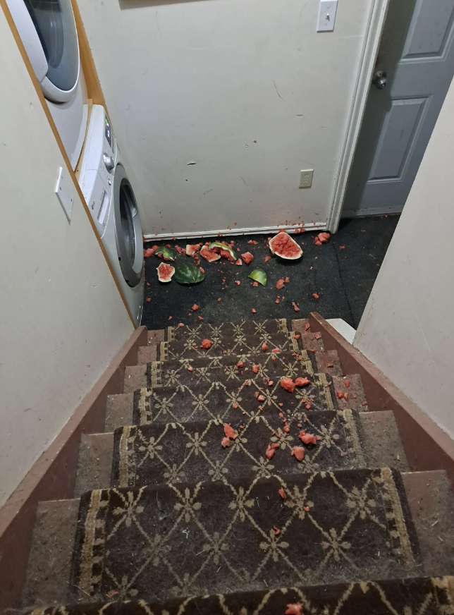 A staircase with pieces of a broken watermelon scattered on the floor next to a washer and dryer unit