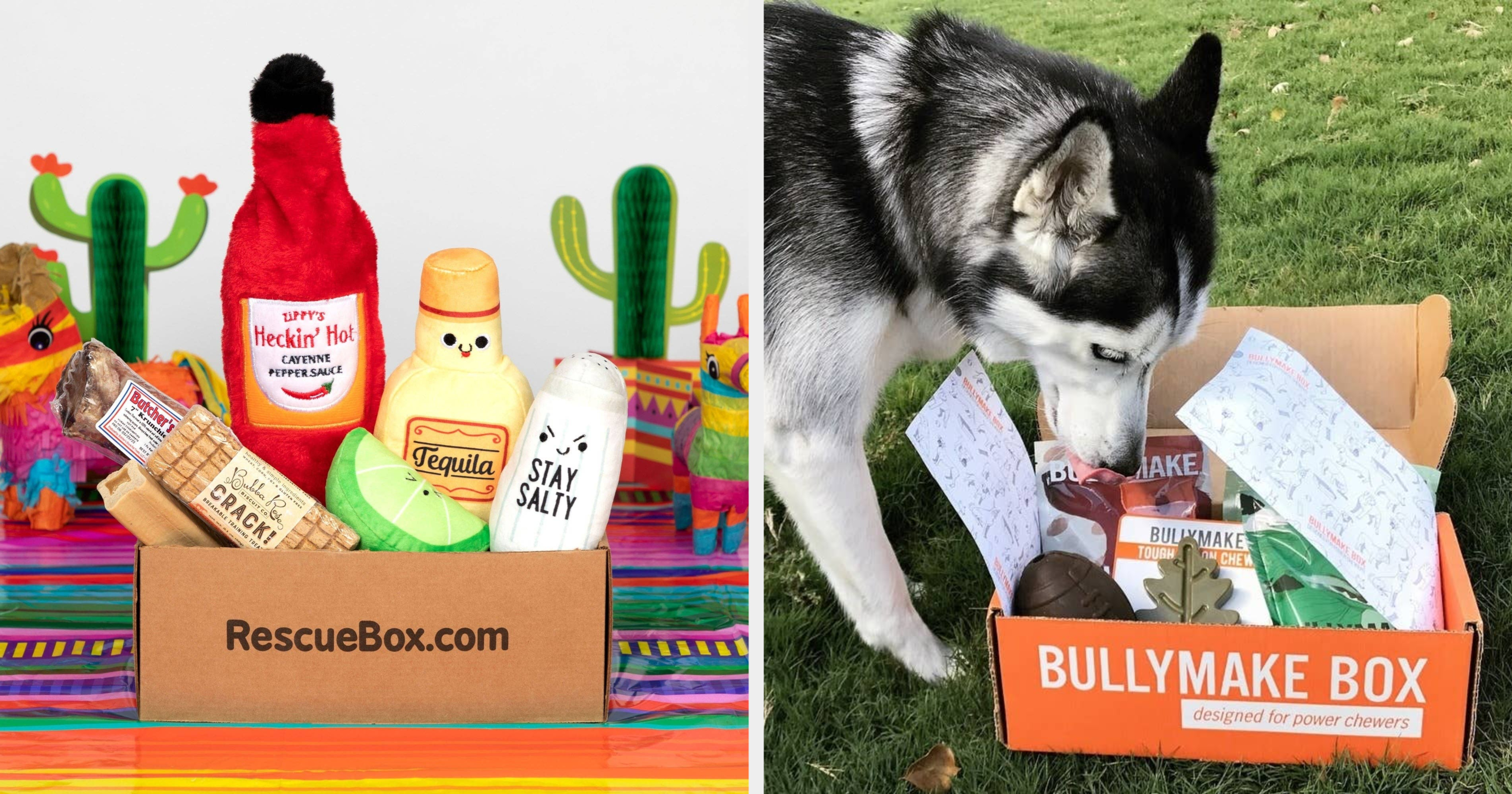 21 Best Dog Subscription Boxes