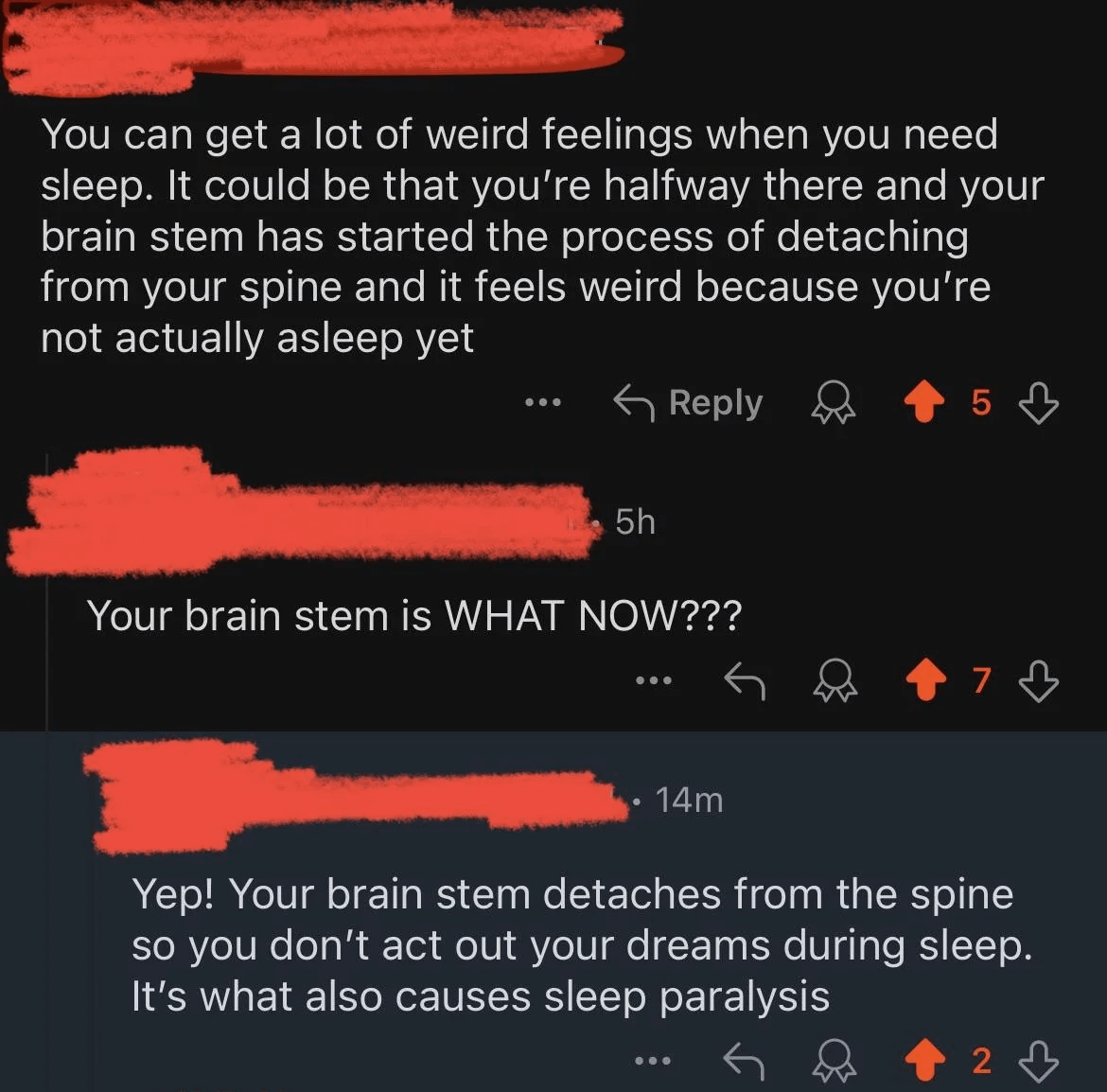 A Reddit thread where a user argues that your brain stem detaches from your spine whenever you go to sleep