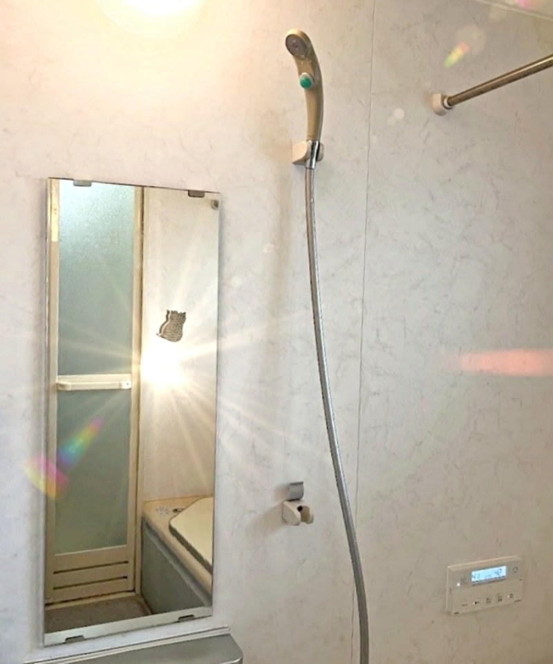 NITORI(ニトリ)おすすめの掃除グッズ「貼りつく鏡のウロコ取り(ネコ)」