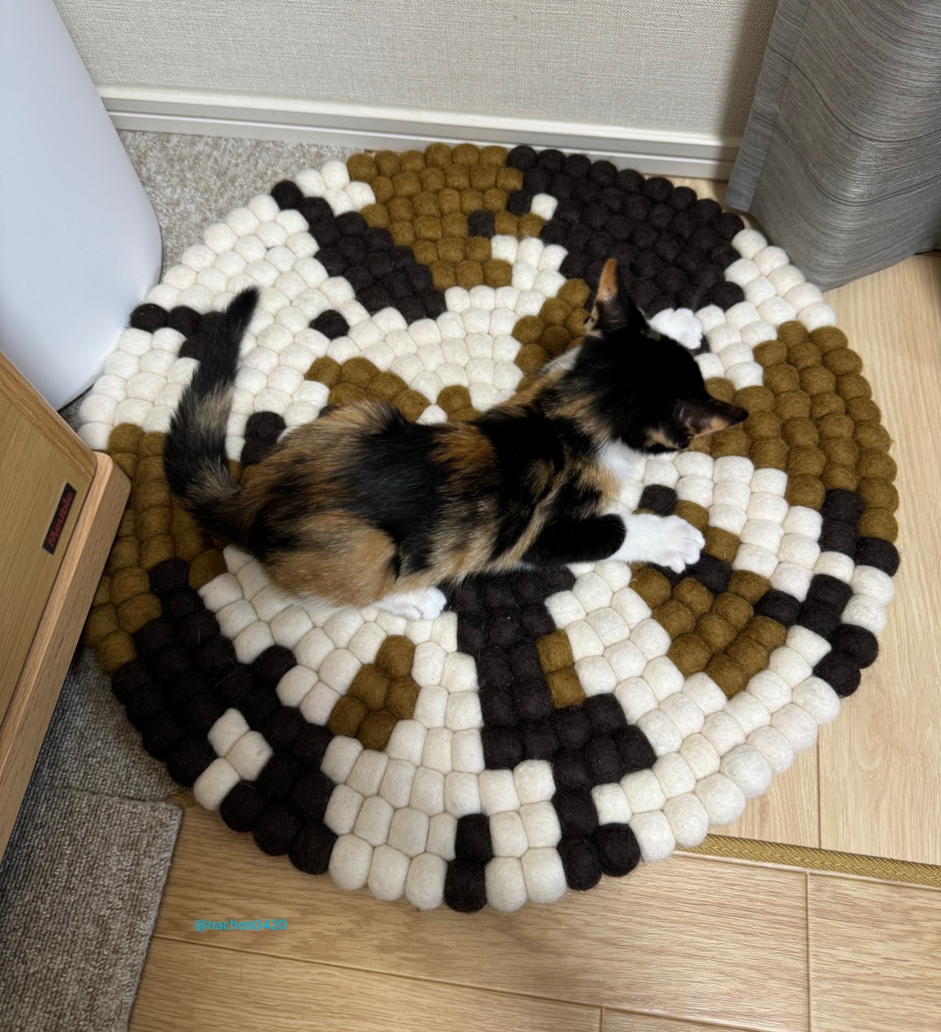 三毛猫柄チェアパッドに擬態しているのは……？