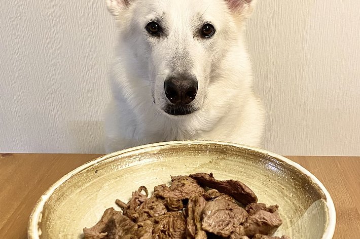 通常のサン君 / riyaさんのXより