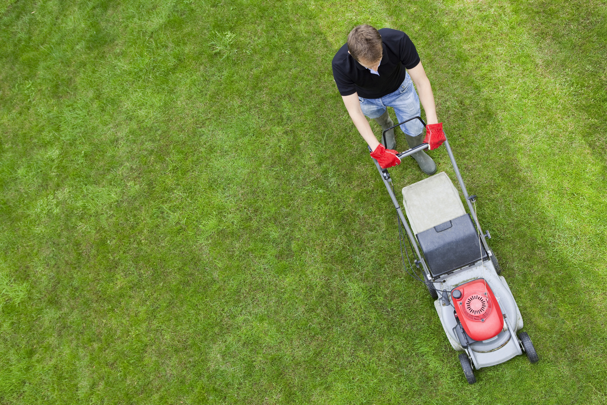 A man wearing a black shirt and jeans is mowing a lawn with a red and gray lawnmower