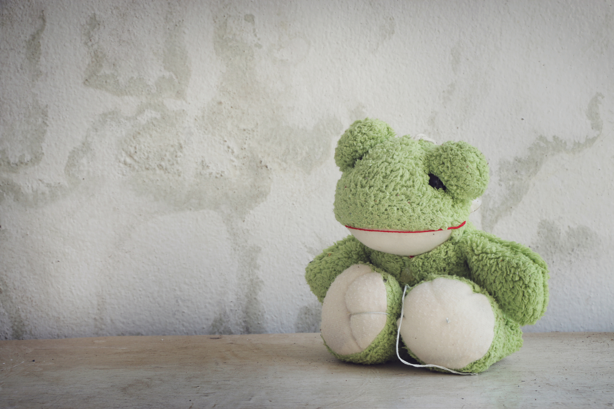 A plush frog toy with a neutral expression sits against a textured wall with its legs drawn close to its body
