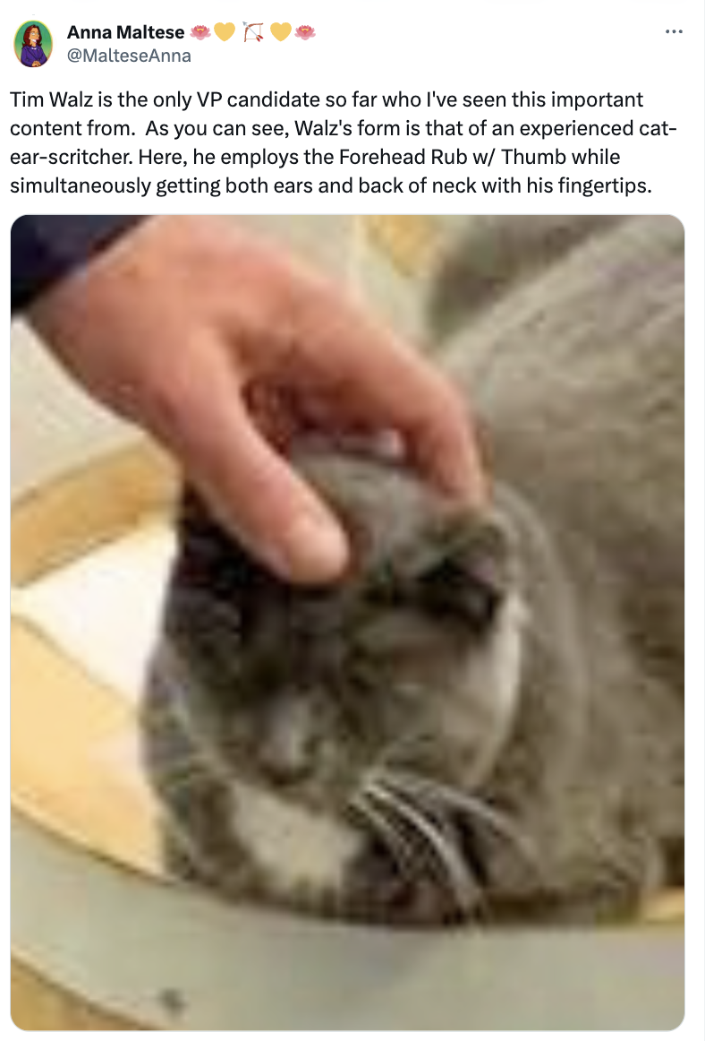 Tim Walz petting a cat, using the Forehead Rub with Thumb technique