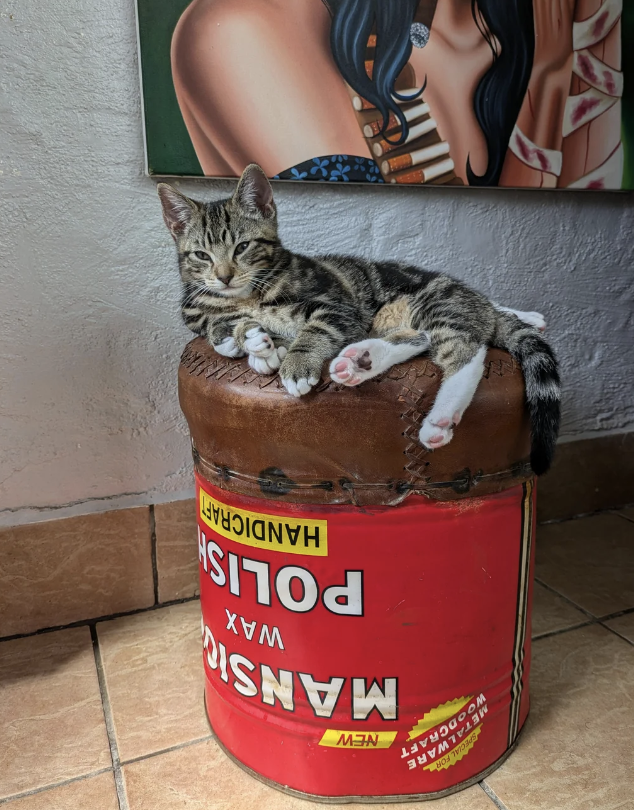 A tabby cat with white paws is lounging comfortably on a red canister labeled "Mansion Wax Polish." A painting is partially visible in the background