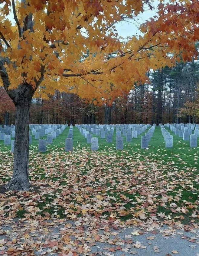 A cemetery with rows of headstones, fallen leaves, and a tree with autumn foliage in the foreground