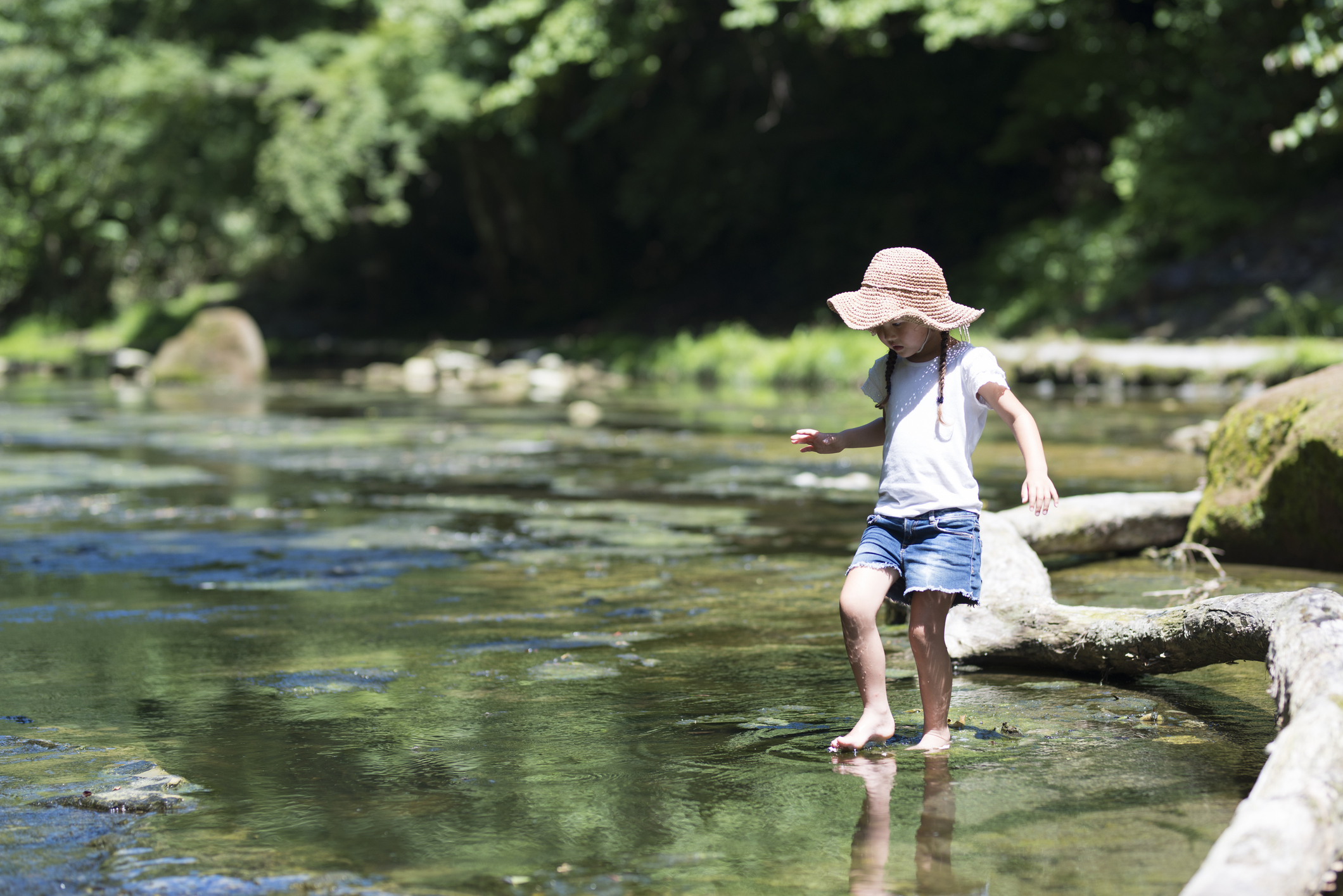 少女が大きな帽子を被って川沿いの木の幹を歩いている。