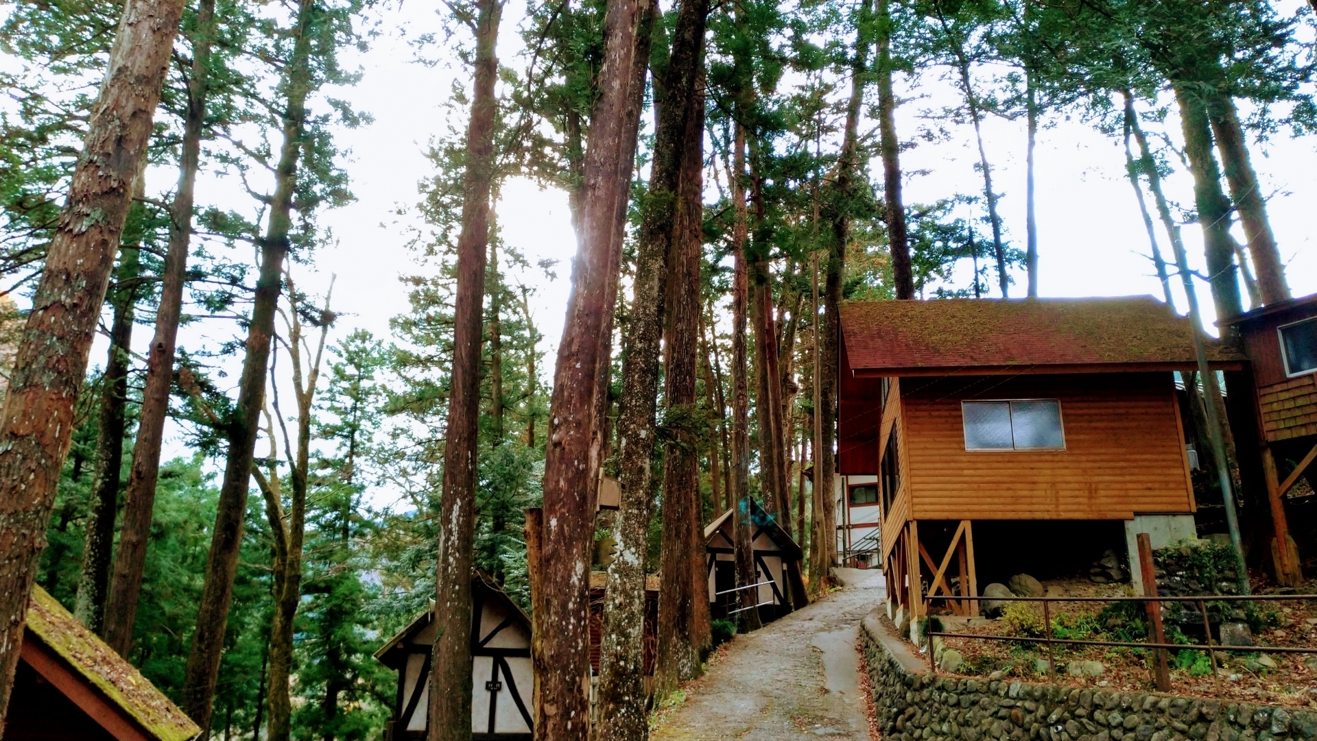 氷川キャンプ場の写真（写真ACより）