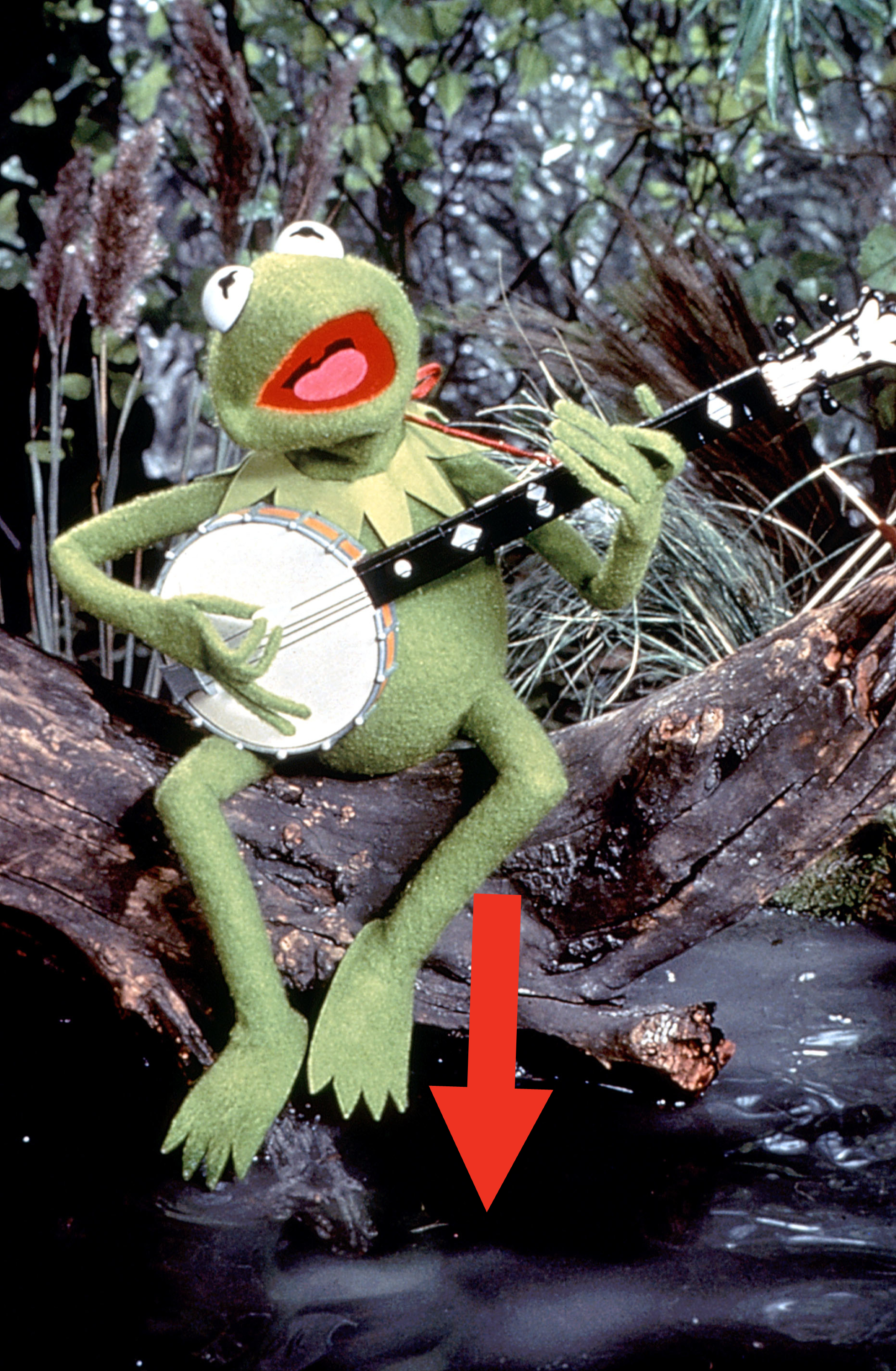 Kermit the Frog sits on a log in a leafy forest setting, playing a banjo and singing