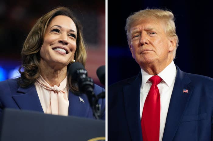 Kamala Harris and Donald Trump stand separately, wearing business attire. Kamala smiles in front of a microphone, Trump poses in a suit and red tie