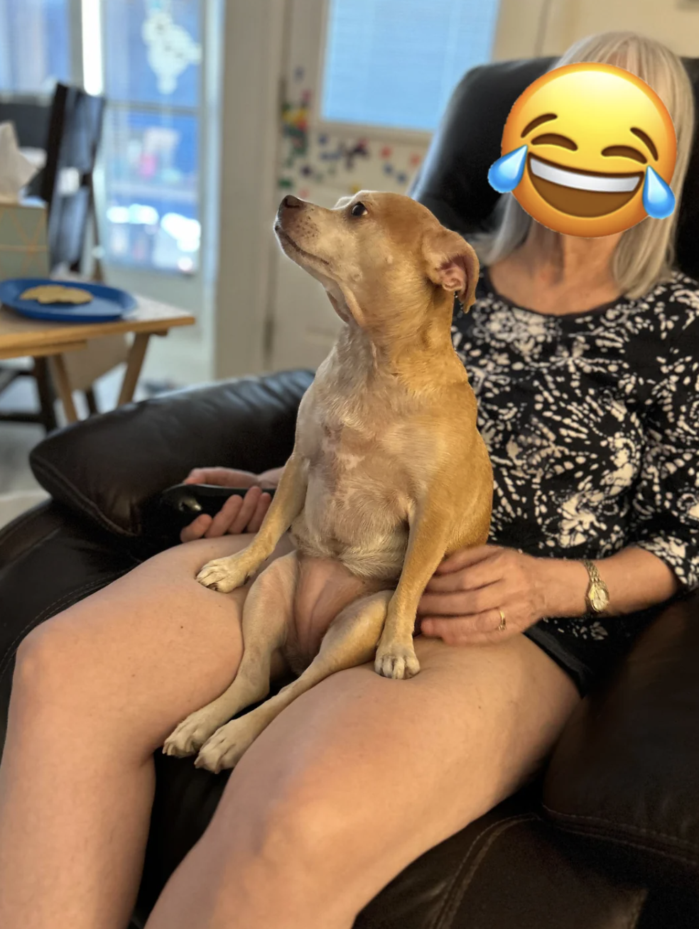 A person with a face-mask emoji sits on a recliner, holding a small dog on their lap
