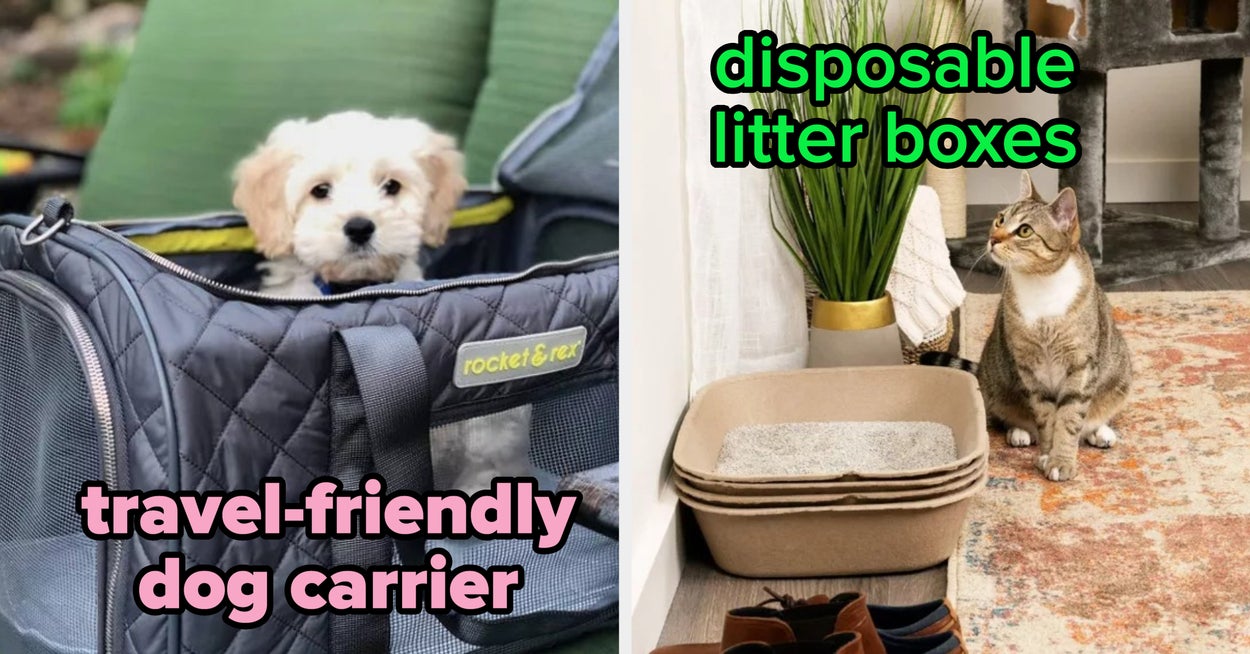 Target Pet 20 Target Products Your Pets Will Love