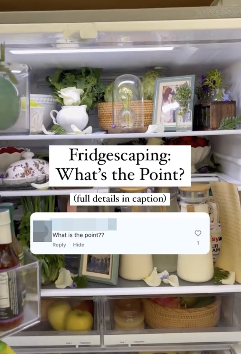 Image of an Instagram post by jenny.stalking captioned "Fridgescaping: What's the Point?" showing an organized refrigerator, with user comments discussing food organization