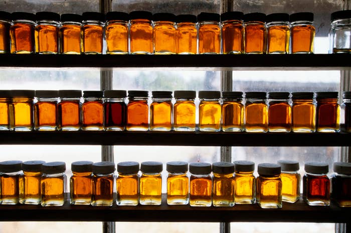 Multiple rows of jars filled with honey are displayed on shelves in front of a window