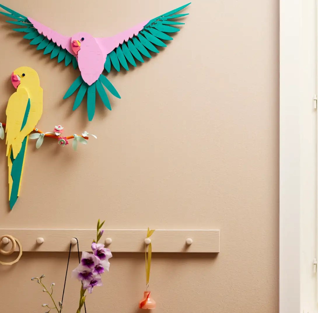 Two colorful paper birds are mounted on a beige wall beside a white window. Below, a wooden peg rail holds small household items