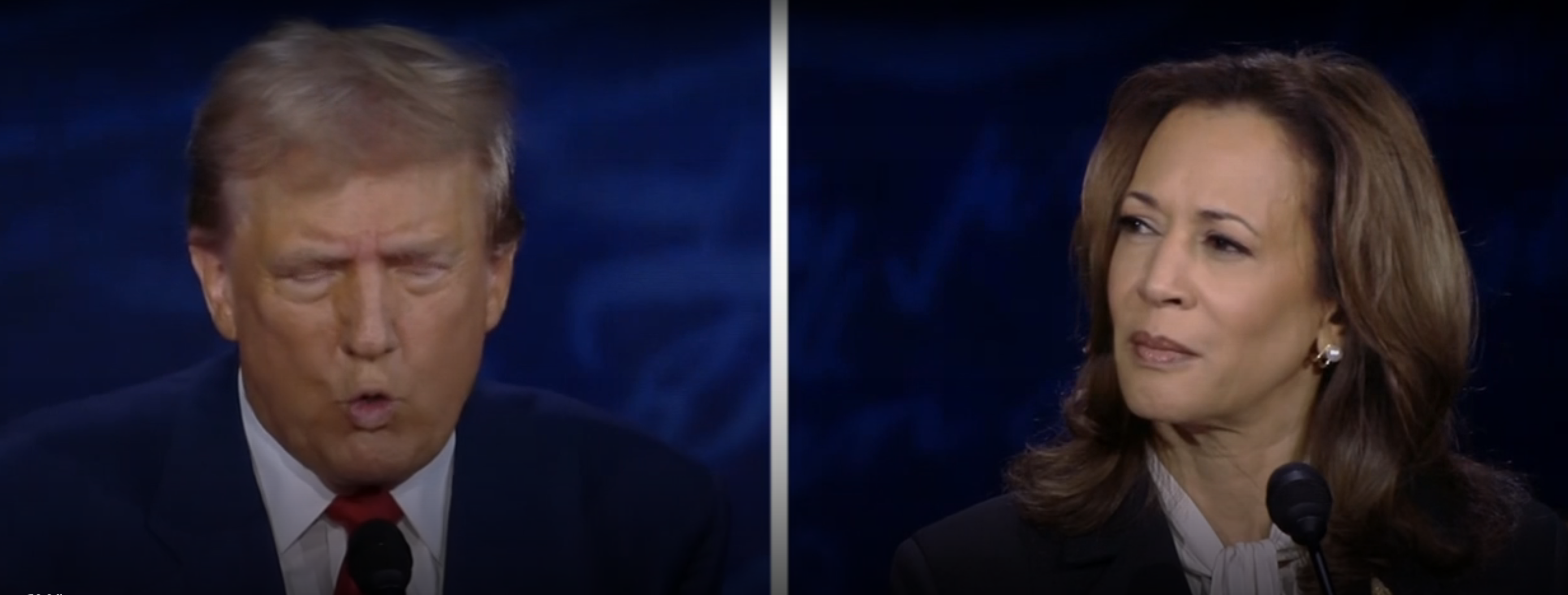 Donald Trump and Kamala Harris in split-screen image appear to be engaged in discussion, both wearing formal attire