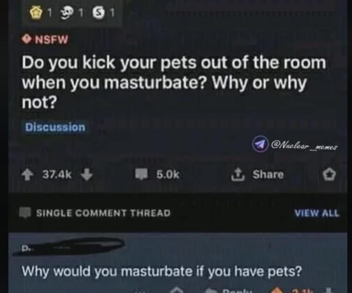 The image shows a Reddit post asking if people kick their pets out of the room when they masturbate, with a comment questioning why one would masturbate if they have pets