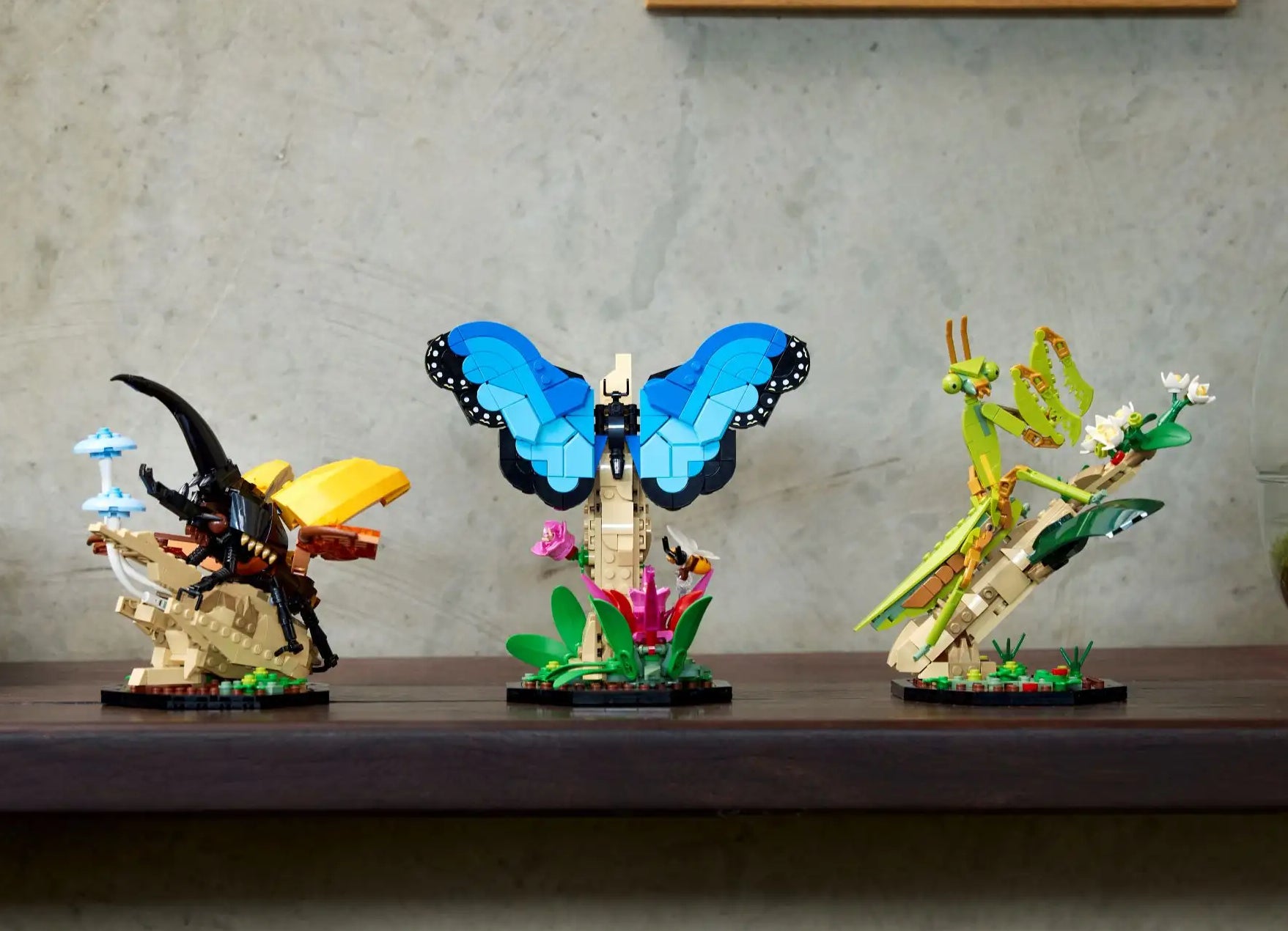 Three LEGO insect builds on a shelf: a black dragonfly, a blue butterfly with wings spread, and a green praying mantis. Art and plants in the background