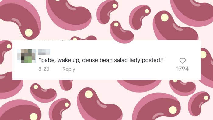 Social media comment by someone saying "babe, wake up, dense bean salad lady posted"