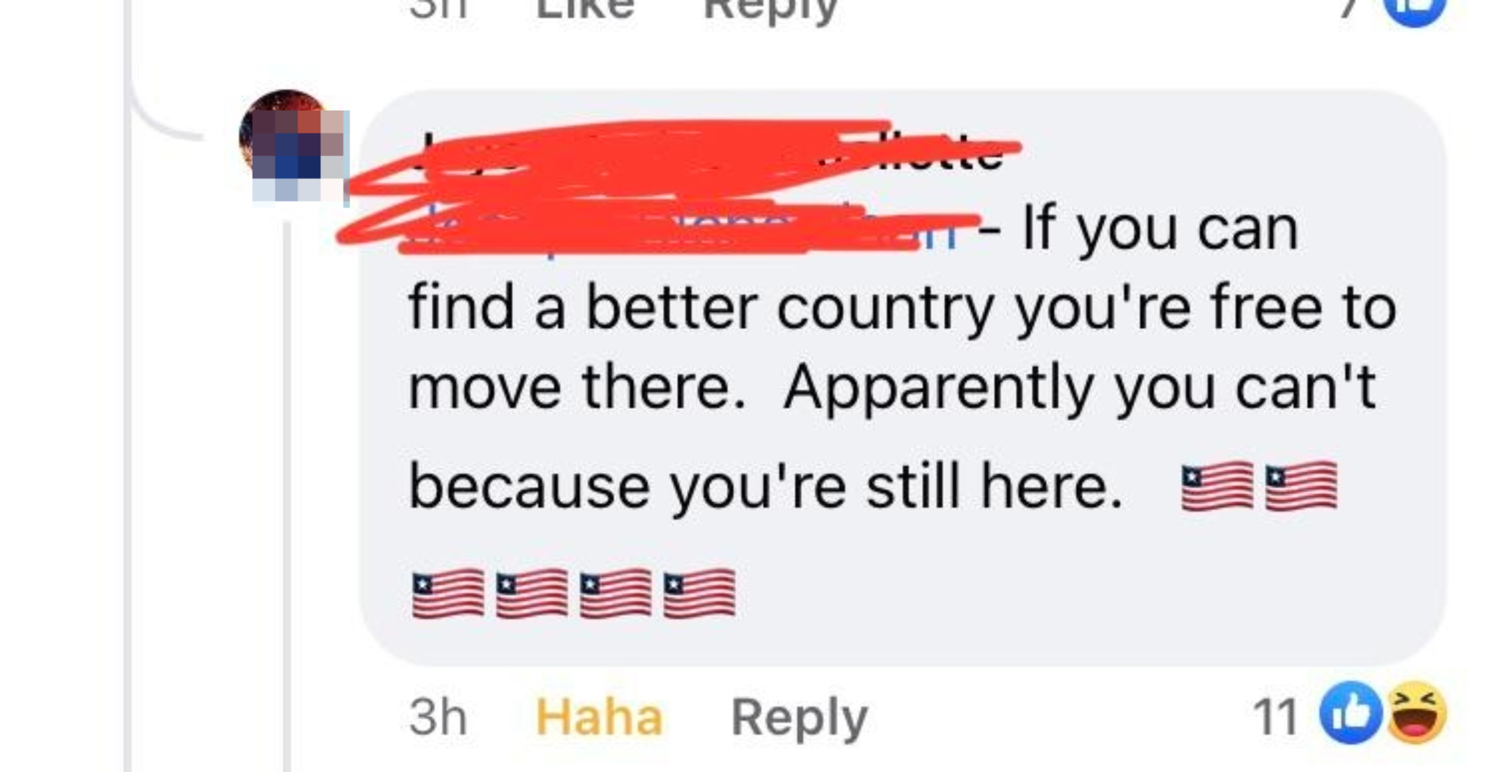 A Facebook comment saying, "If you can find a better country you're free to move there. Apparently you can't because you're still here," followed by flag emojis