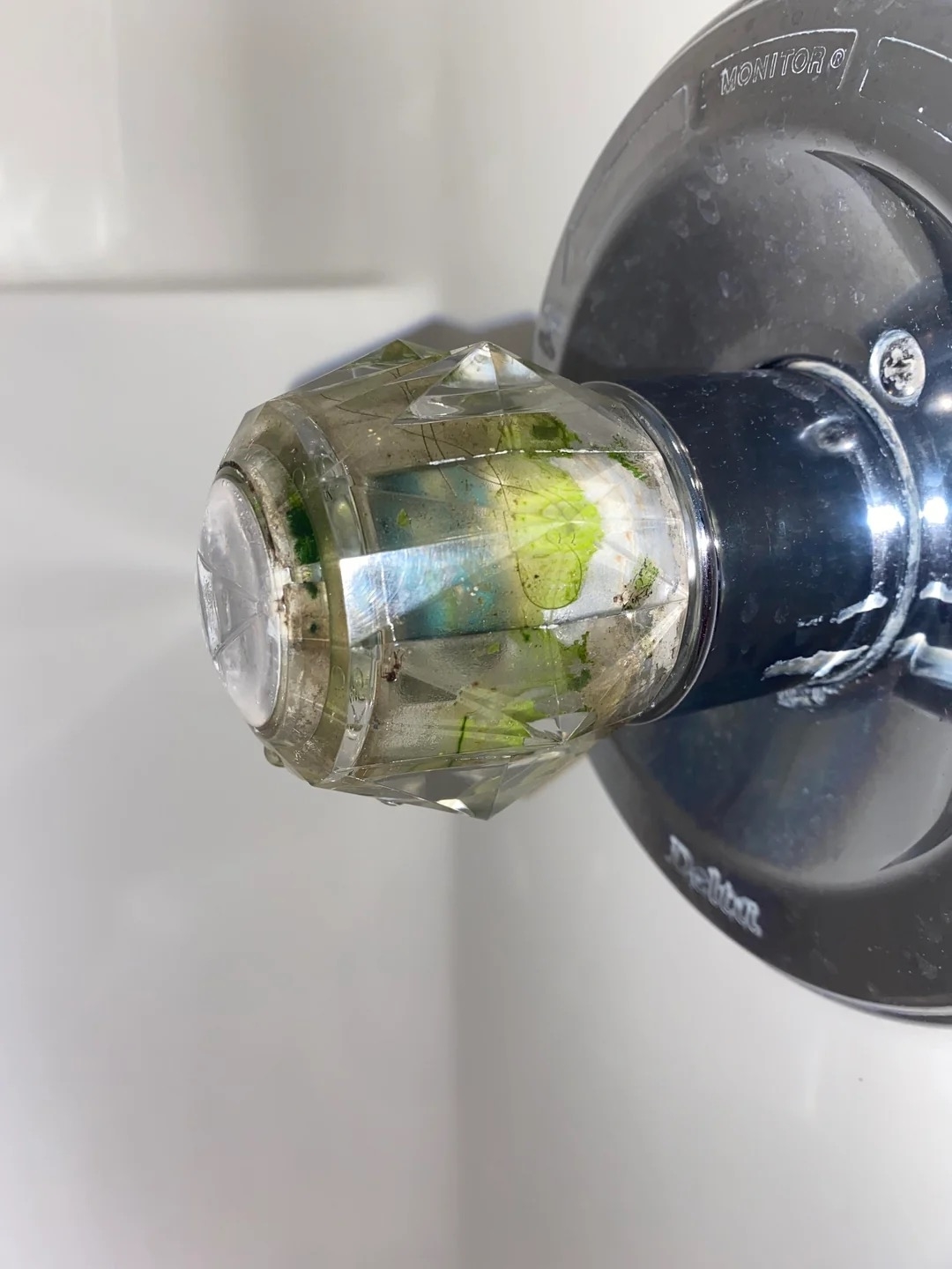A close-up of a dirty and rusted showerhead, with visible mineral buildup and debris on the nozzle