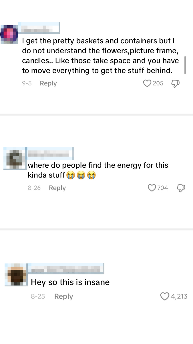 Three TikTok comments about organizing, with reactions validating the struggles and amazement over elaborate setups