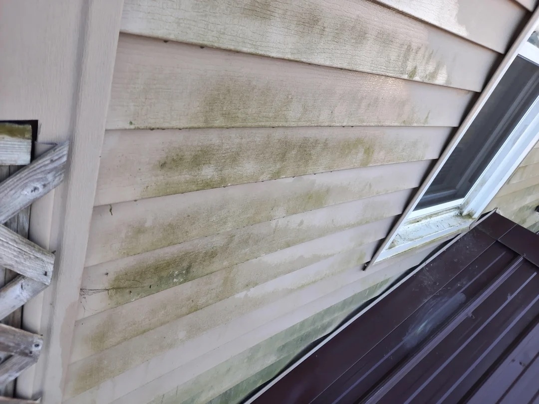 Dirty house siding with mold and mildew near a window