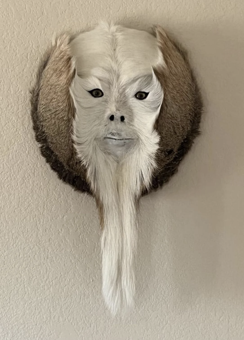 A wall-mounted, artistic mask resembling a face with fur, small black eyes, and a long beard. The mask is mounted against a plain background. No humans are present