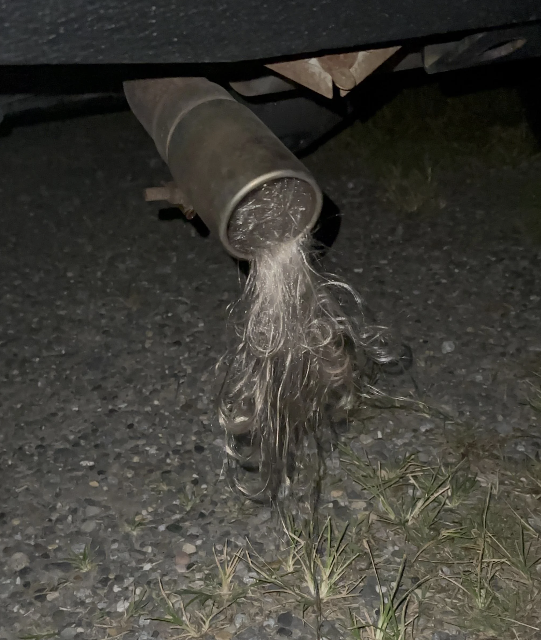 A car exhaust pipe with long, tangled hair-like material hanging out of it. The car is parked on a gravel and grass surface