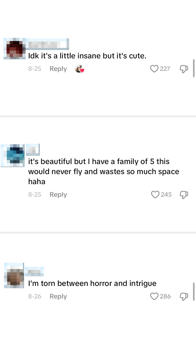 Comments on a post: 1) "Idk it’s a little insane but it’s cute" 2) "it's beautiful but I have a family of 5 this would never fly and wastes so much space haha" 3) "I'm torn between horror and intrigue"