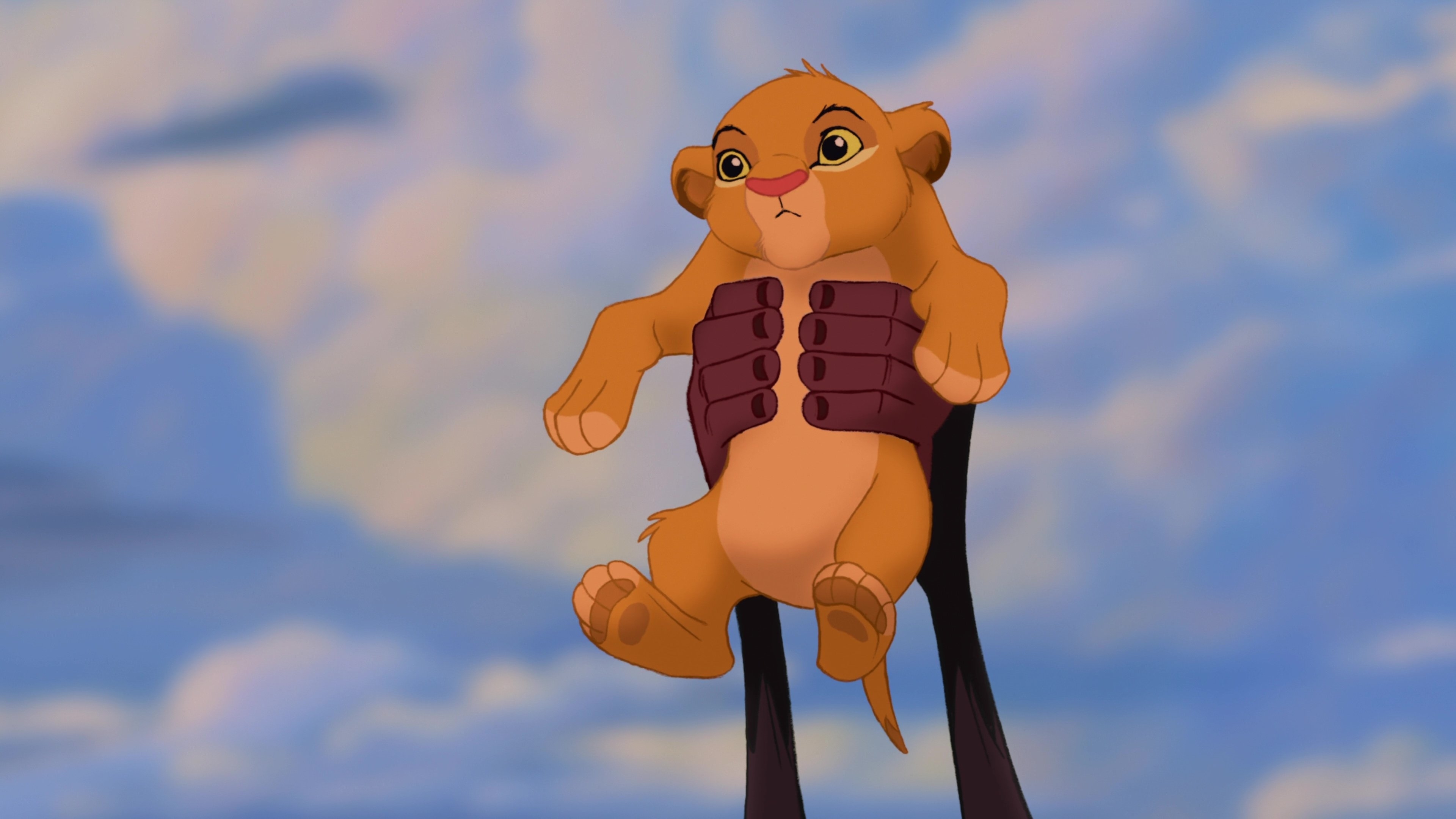 Король лев симба. Король лев симба маленький. Симба. Симба старший и симба младший. Симбу и его хозяина.