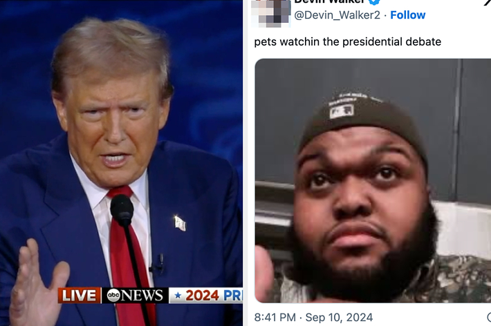 Former President Donald Trump speaks at a debate; split screen shows a Twitter user @Devin_Walker2 comparing pets watching the debate