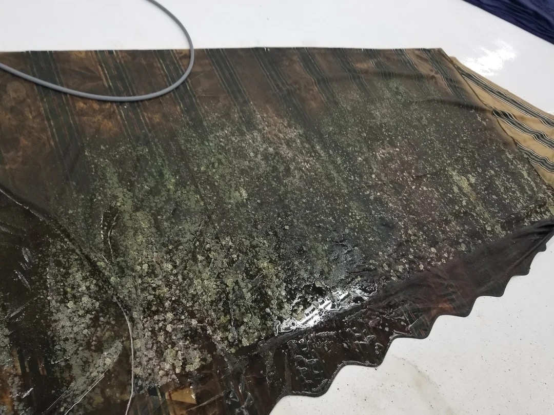 Close-up of a wet, discolored tarp with visible damage and accumulated debris