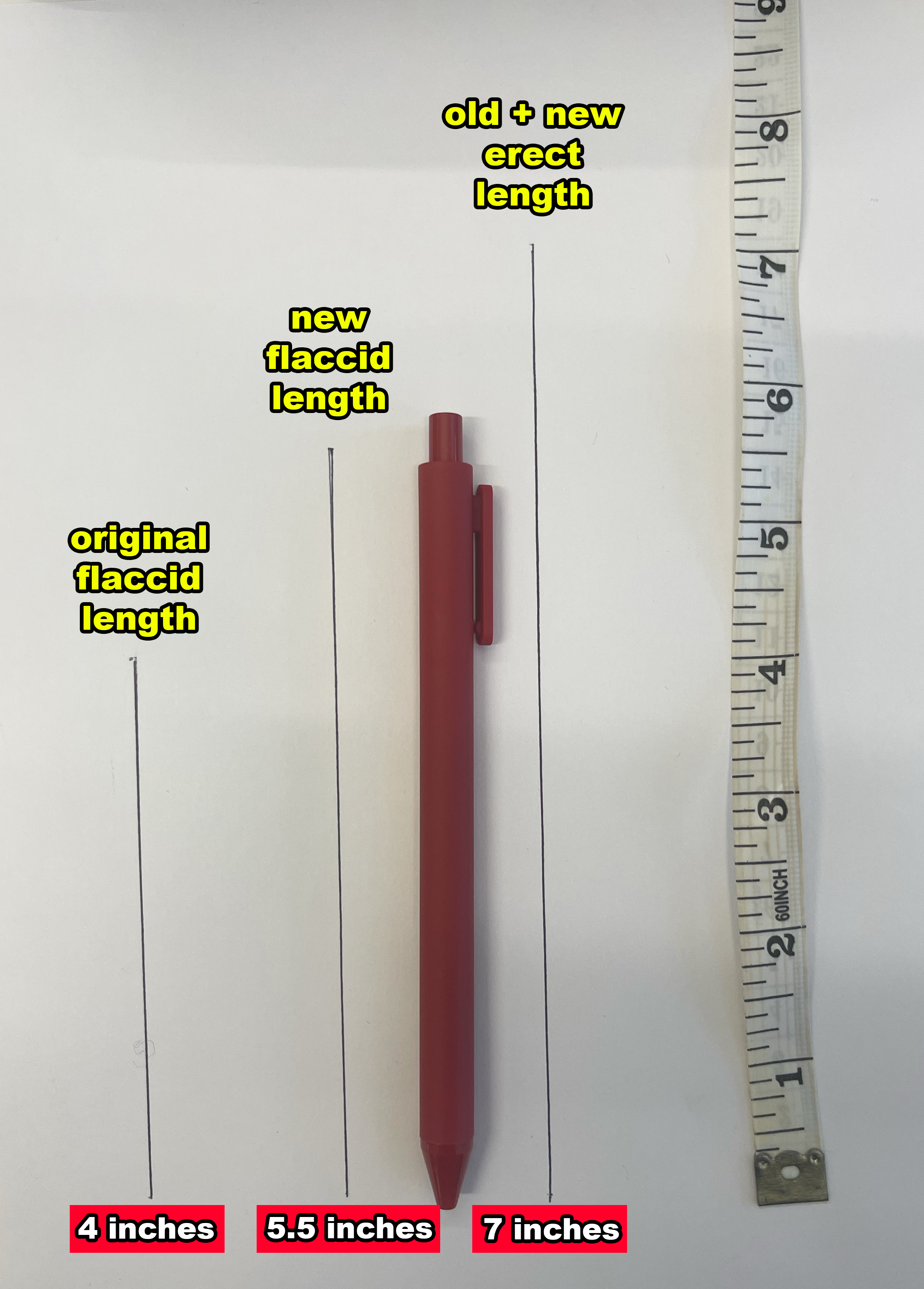 Image of a red pen next to a ruler and lines marked with "original flaccid length," "new flaccid length," and "old + new erect length"