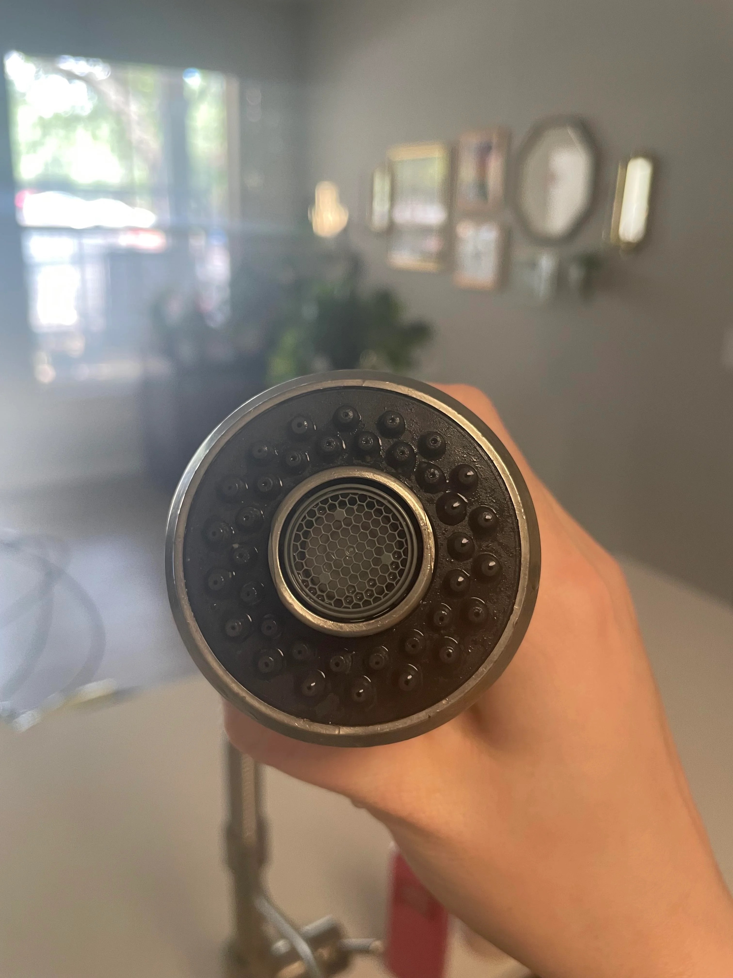 Close-up image of a hand holding a showerhead. Background includes blurred room interior with photos on the wall