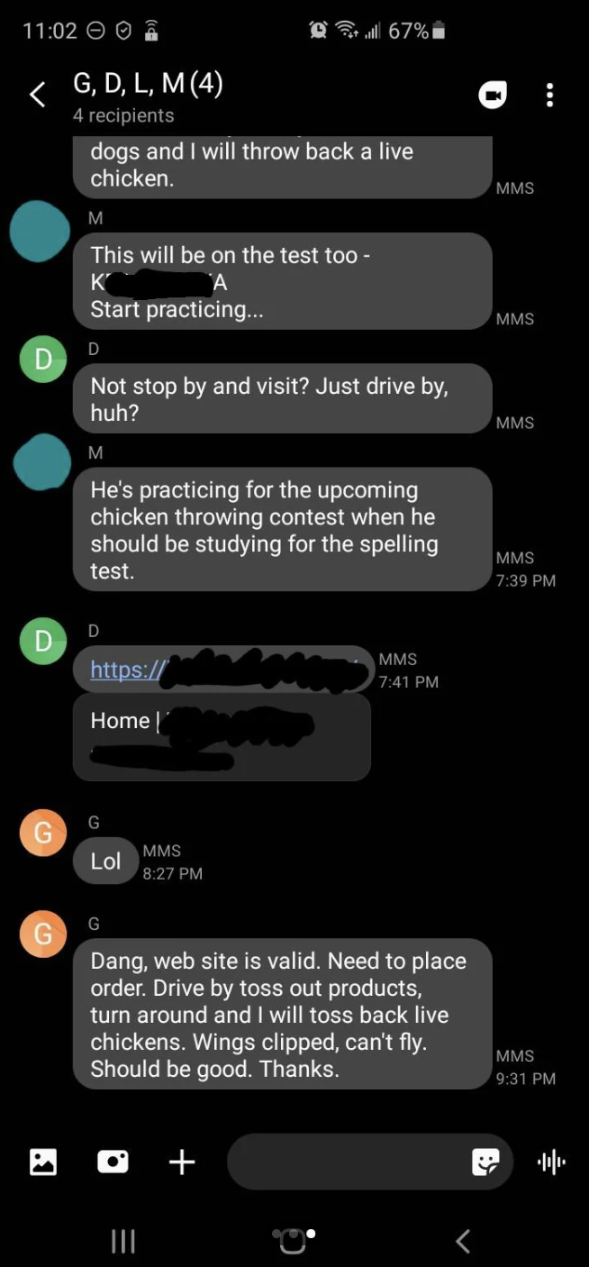 Family group chat about chickens