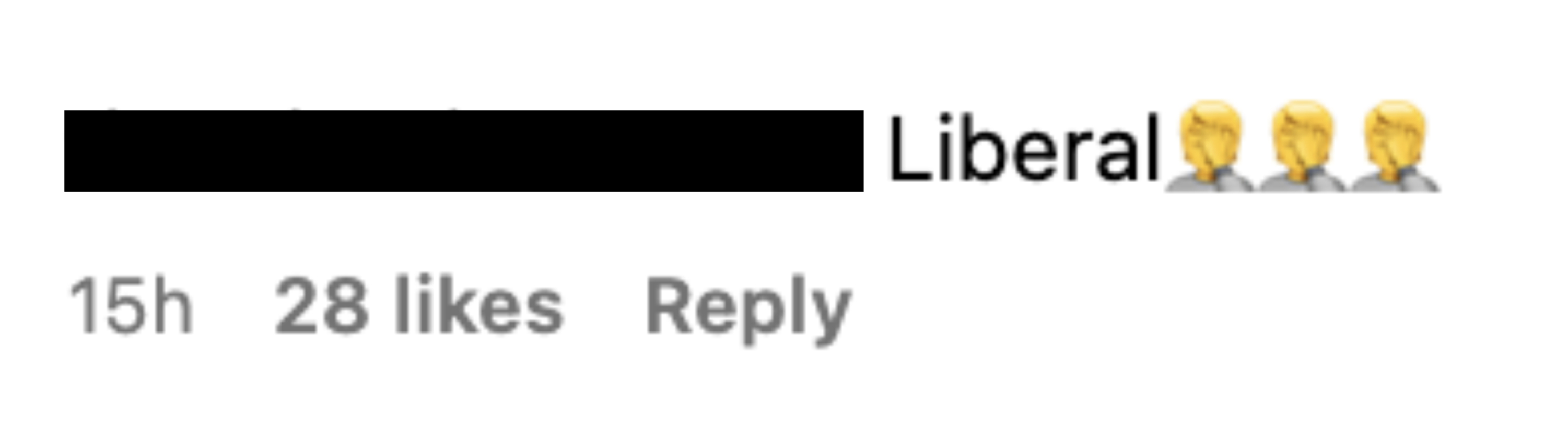 Instagram comment by fine.line.ink.tattoo: "Liberal" followed by three facepalm emojis. The comment has 28 likes and was posted 15 hours ago
