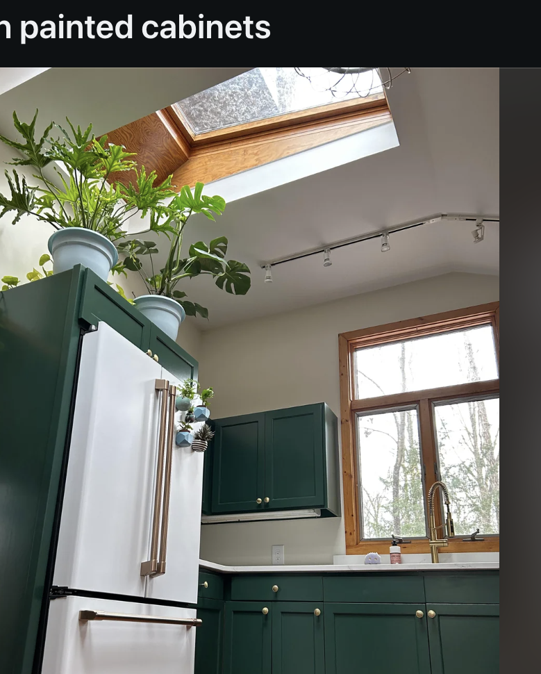 Screenshot of a Reddit post by user InteriorDesign showcasing a kitchen remodel with painted cabinets. The kitchen has green cabinets, a white refrigerator, and a skylight