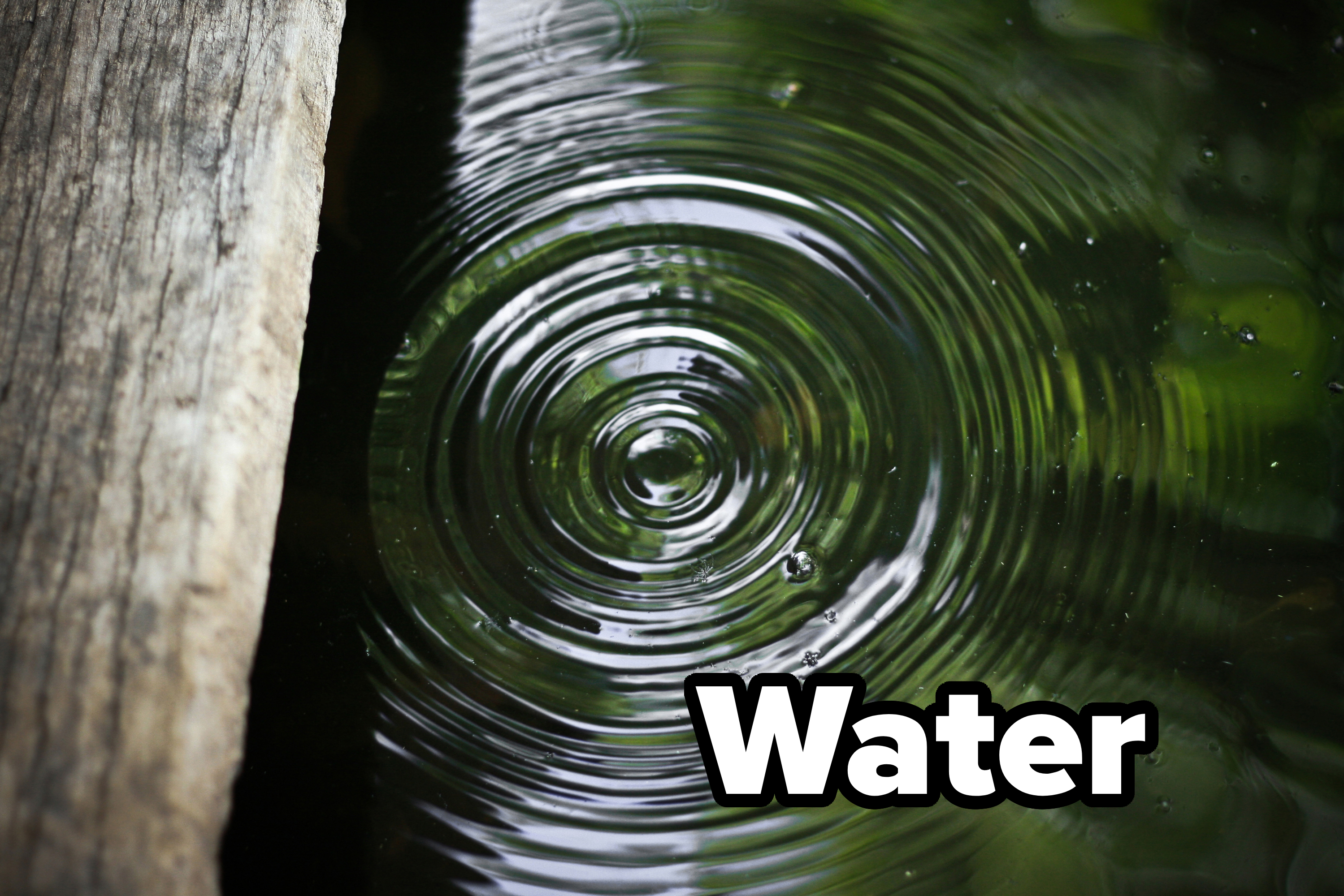 Close-up of concentric ripples in a pond, with part of a wooden log visible on the left side