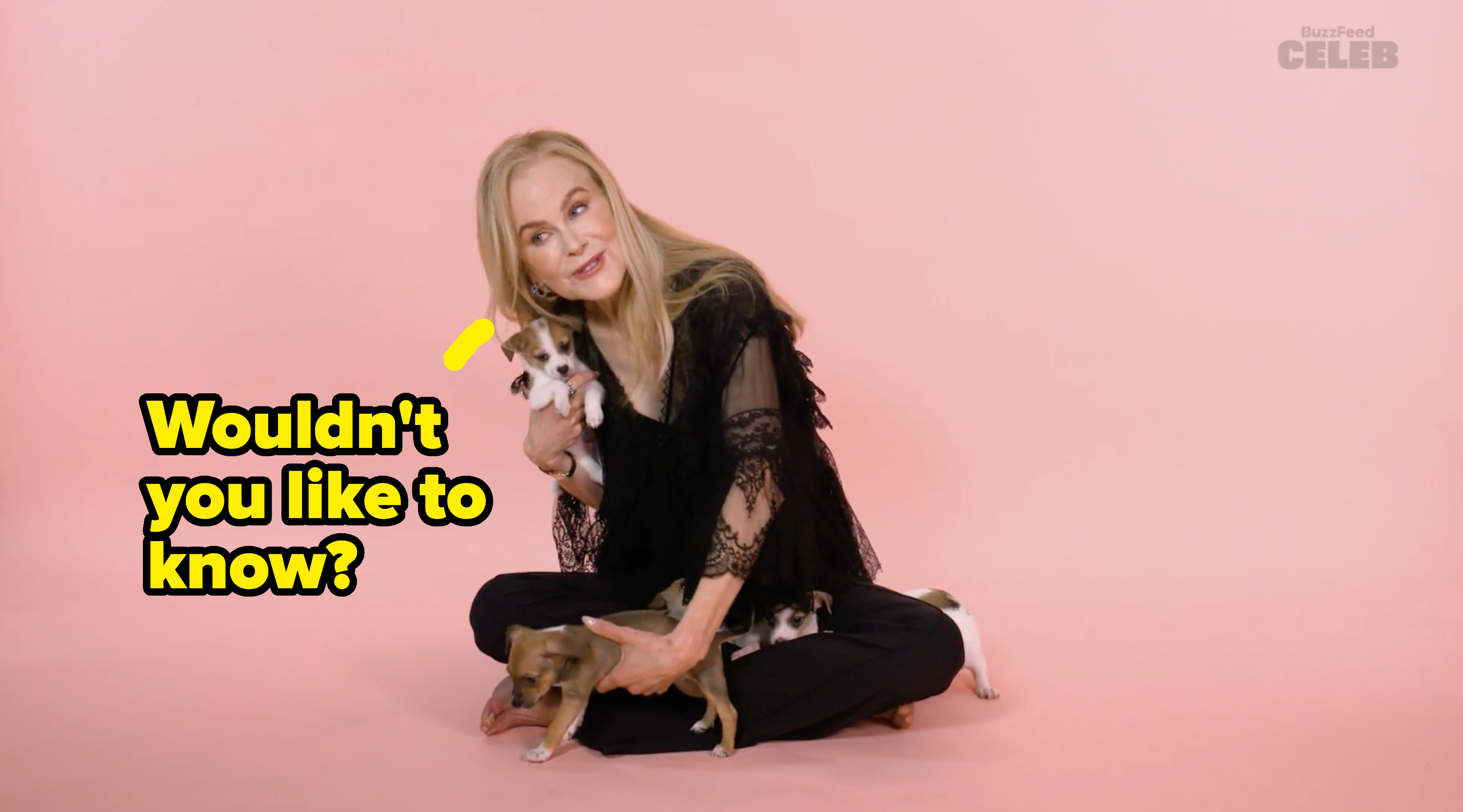 Nicole Kidman seated on the floor, wearing a lace outfit, holding a puppy in her left hand while another puppy rests on her lap