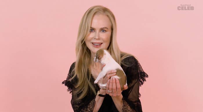 Nicole Kidman in a lace dress holding a small puppy