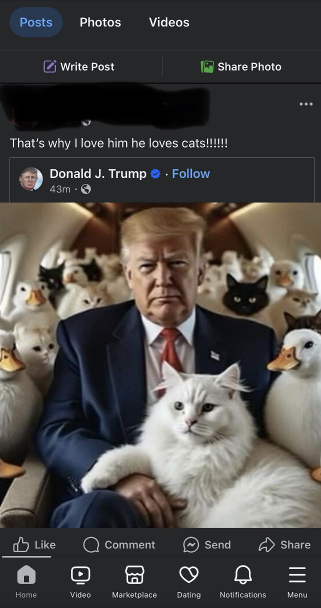 Donald J. Trump is sitting in a private jet surrounded by cats and ducks. He is holding a white cat on his lap